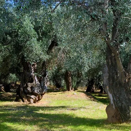 κεντρικό κομψό ήσυχο στούντιο. *